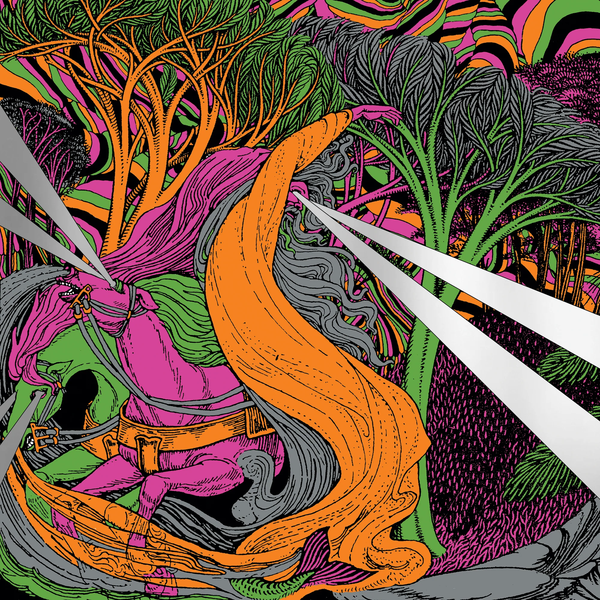 King Gizzard and The Lizard Wizard - Live In Chicago - Image 8