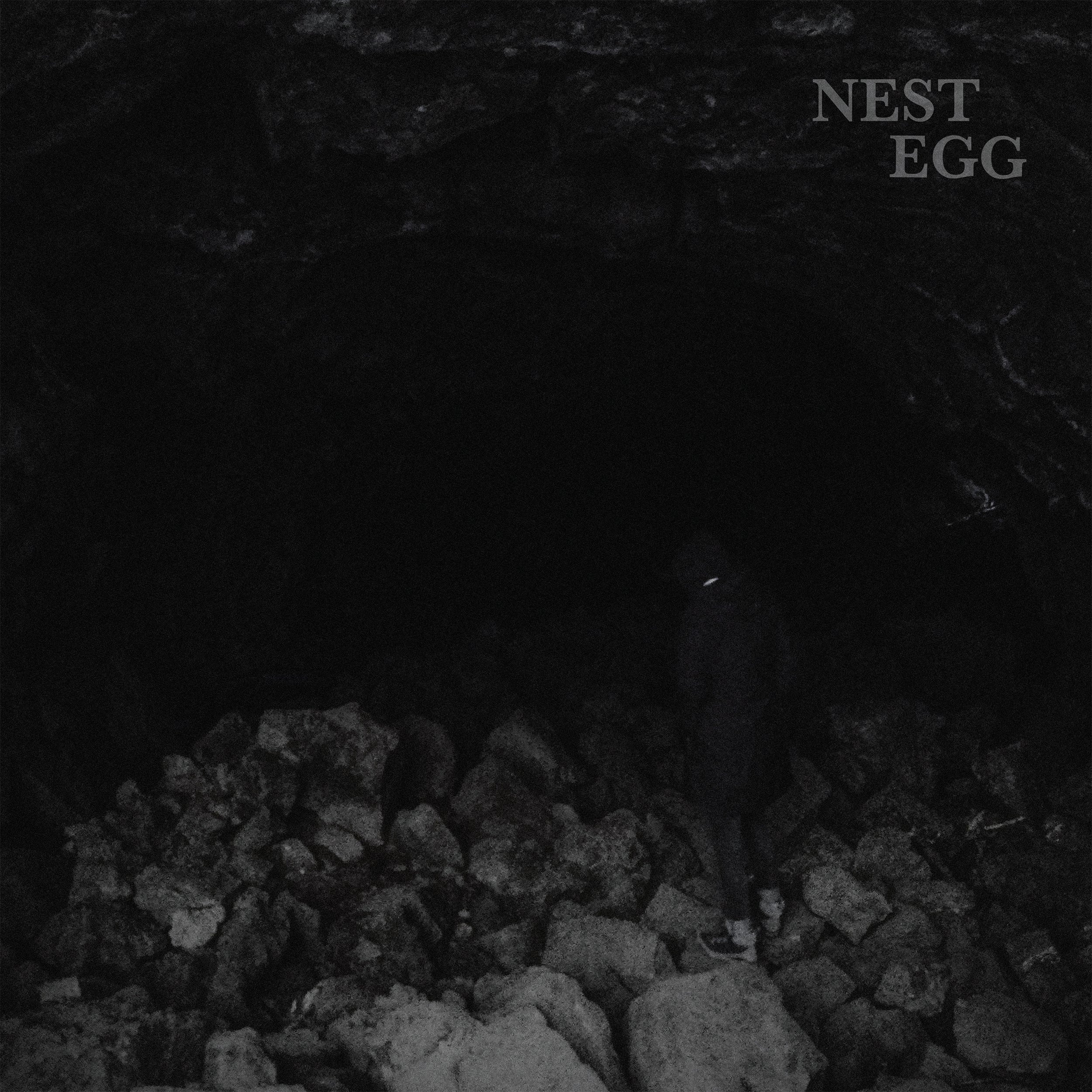 Nest Egg - Nothingness Is Not a Curse