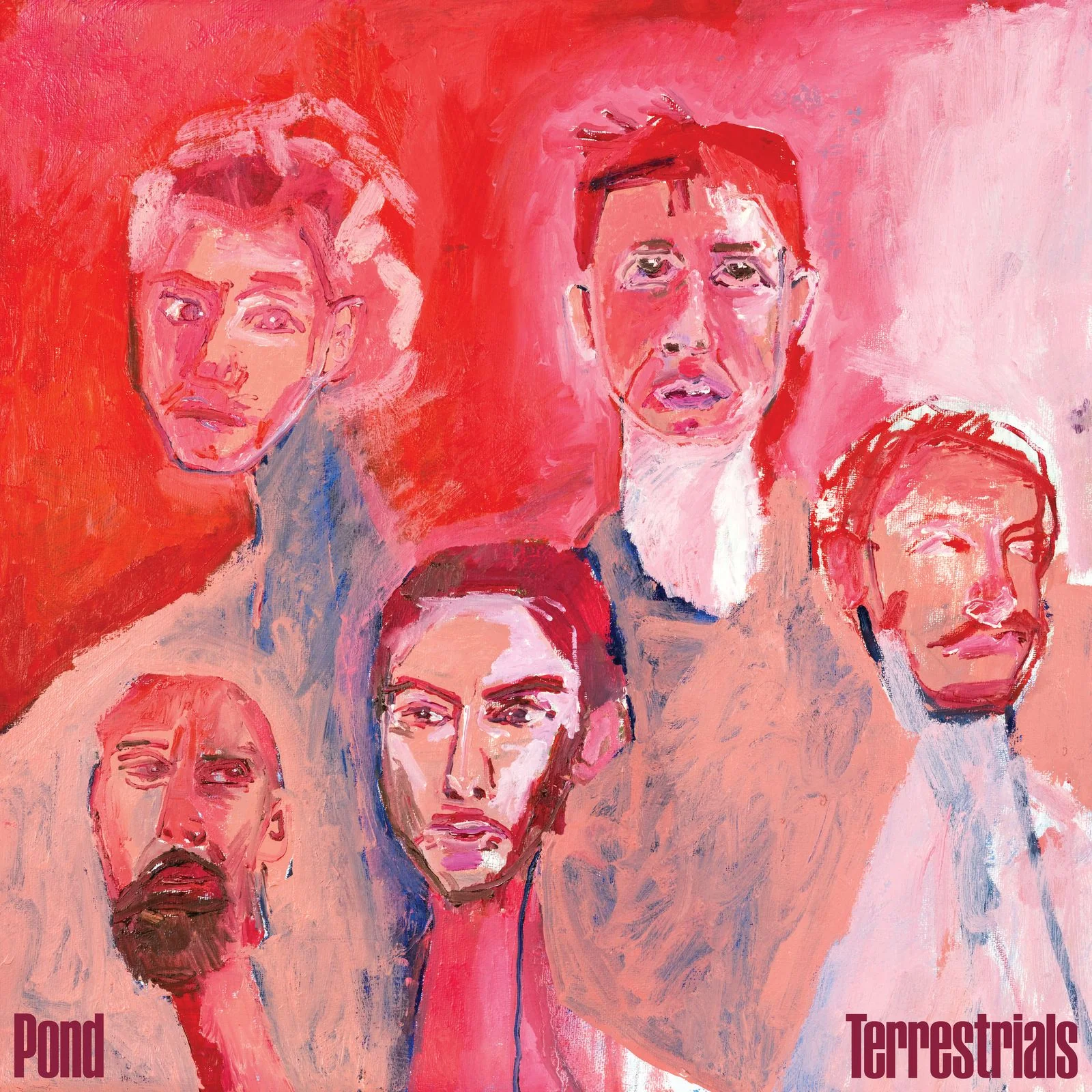 Pre-Order: Pond - Terrestrials