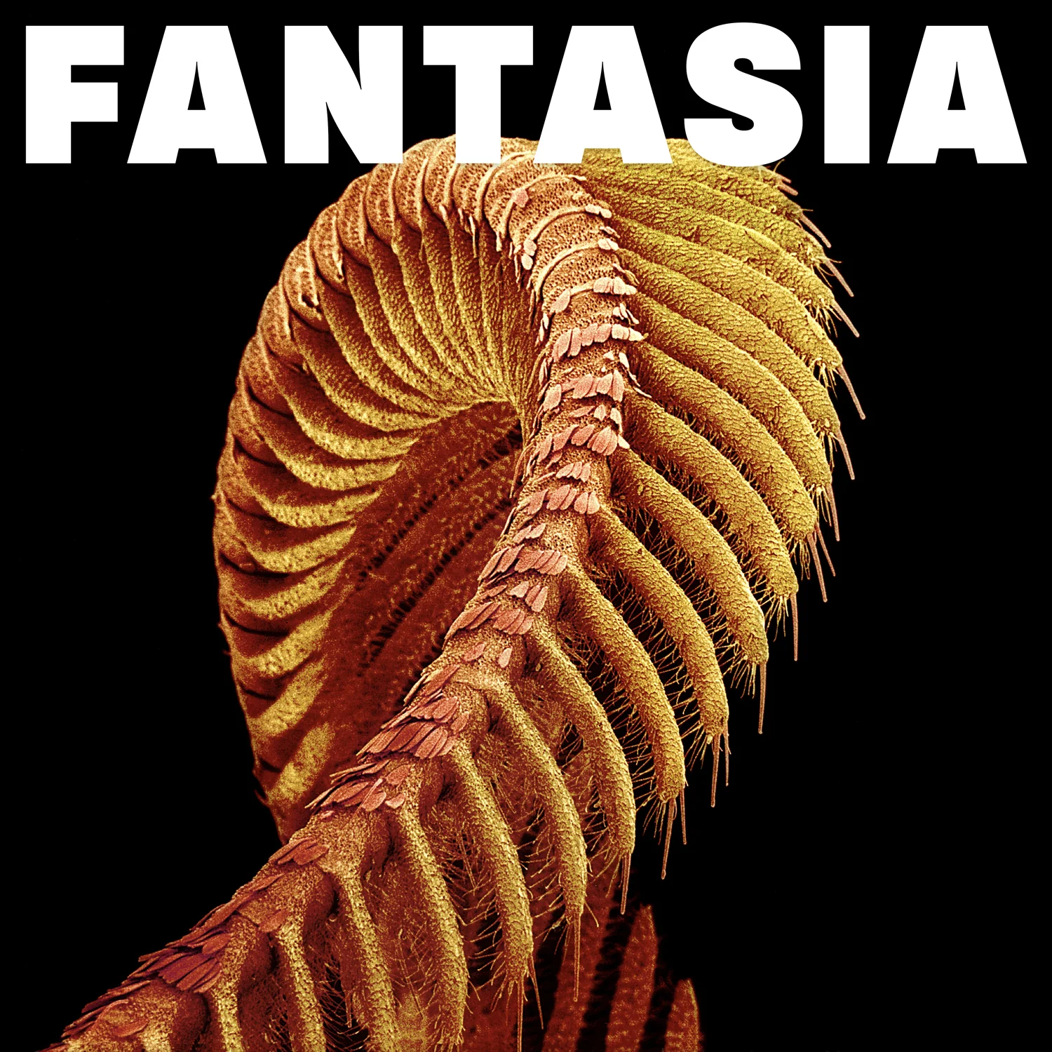 Pre-Order: SLIFT - Fantasia